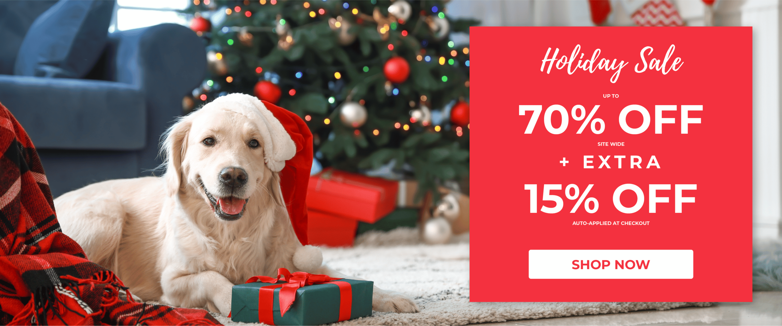 Alpha Paw Sale