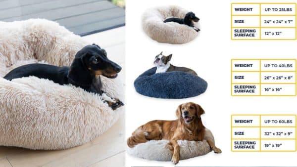 Alpha paw dog beds: a guide for pet owners