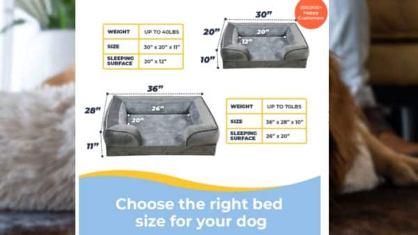 Alpha paw dog beds: a guide for pet owners