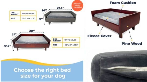 Alpha Paw Dog Beds: A Guide for Pet Owners