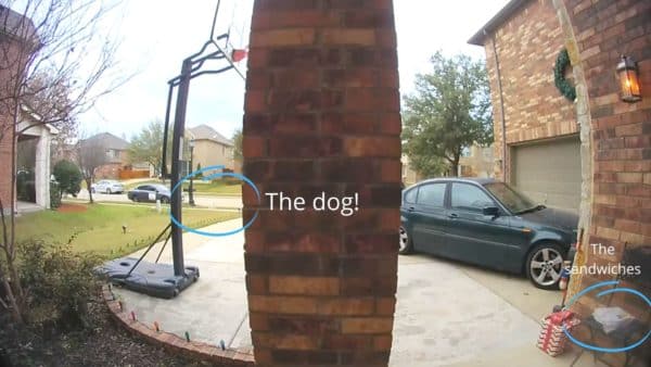 Porch pirate pup caught in the act taking neighbor's doordash order!