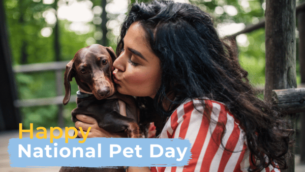 Ways to celebrate national pet day on april 11