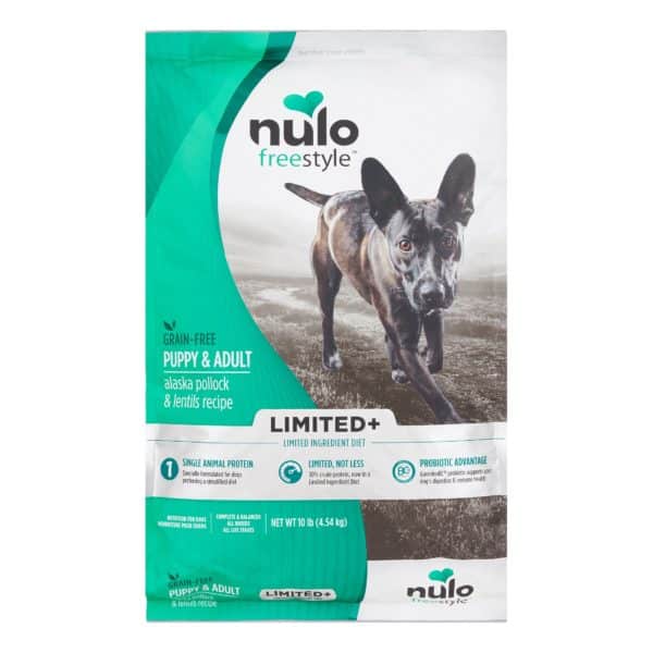 Best dog food of 2022 : what to consider and the top picks