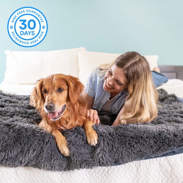 7 best dog blankets on the market: pros, cons, and pricing