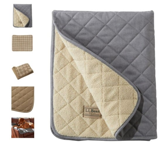 7 best dog blankets on the market: pros, cons, and pricing