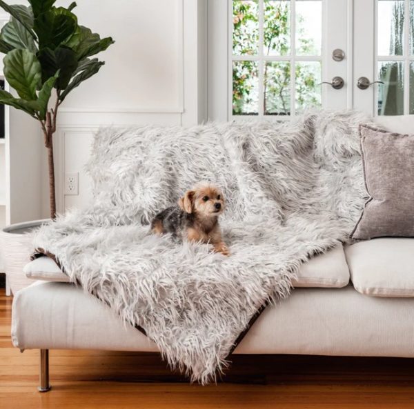 7 Best Dog Blankets on the Market: Pros, Cons, and Pricing