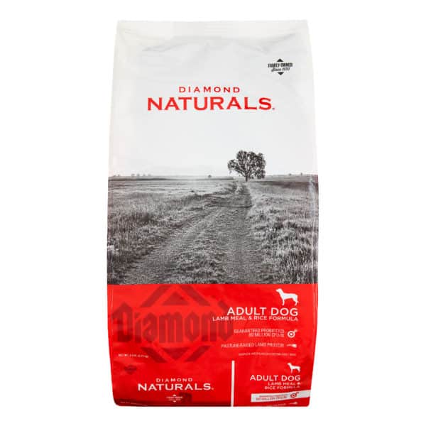 Best dog food of 2022 : what to consider and the top picks