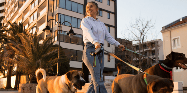 National dog walker appreciation day