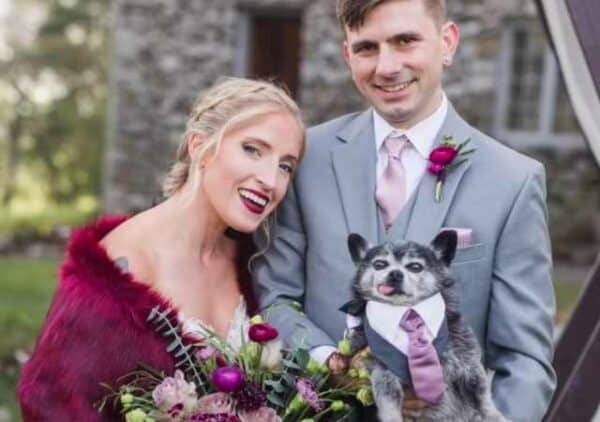 Ugly dog no one wants becomes best dog at wedding