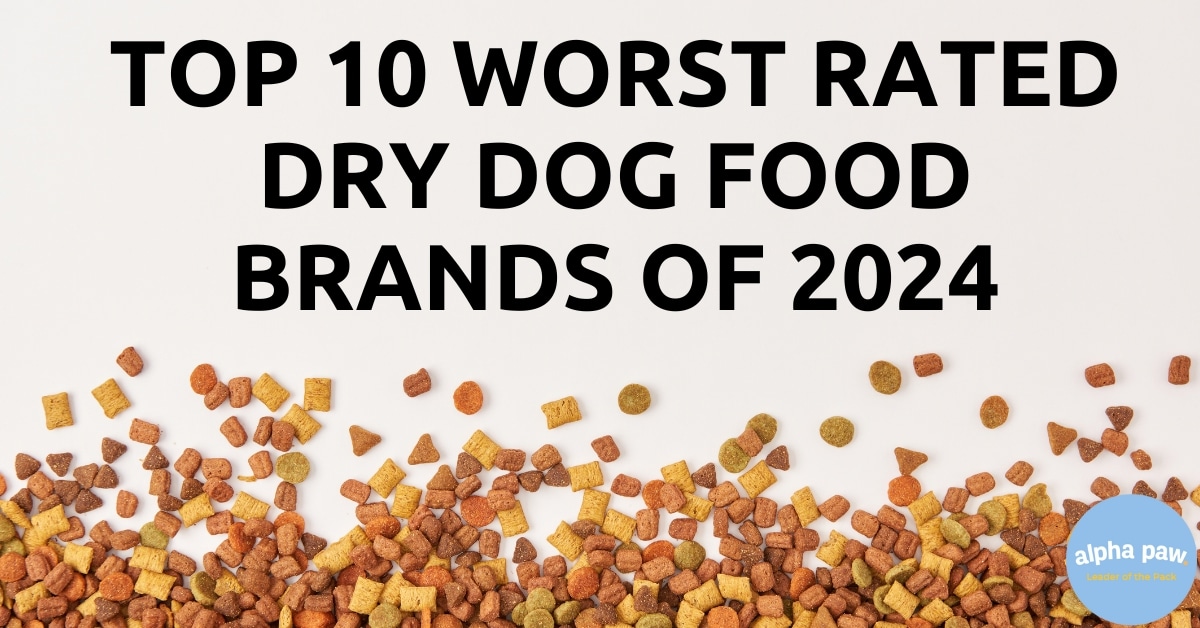 Top 20 worst rated dry dog food brands of 2024